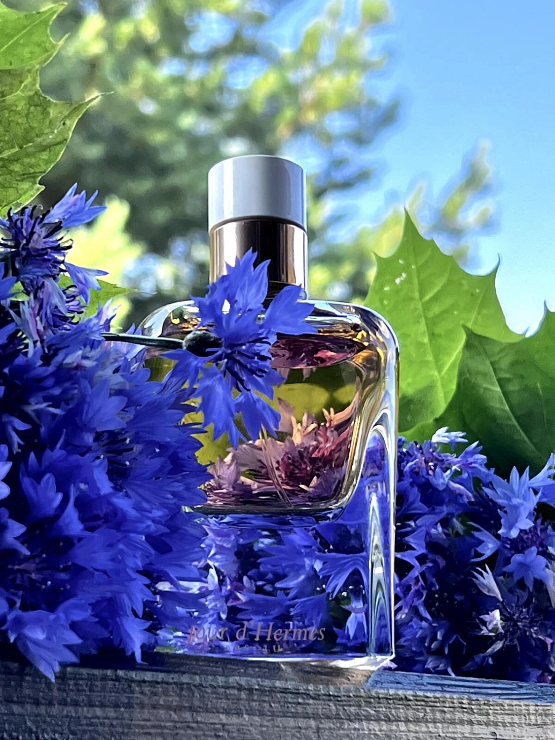 Jour d'Hermès Absolu
