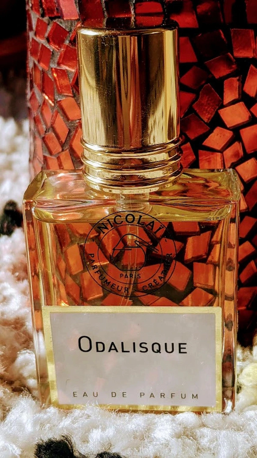 Nicolaï Odalisque