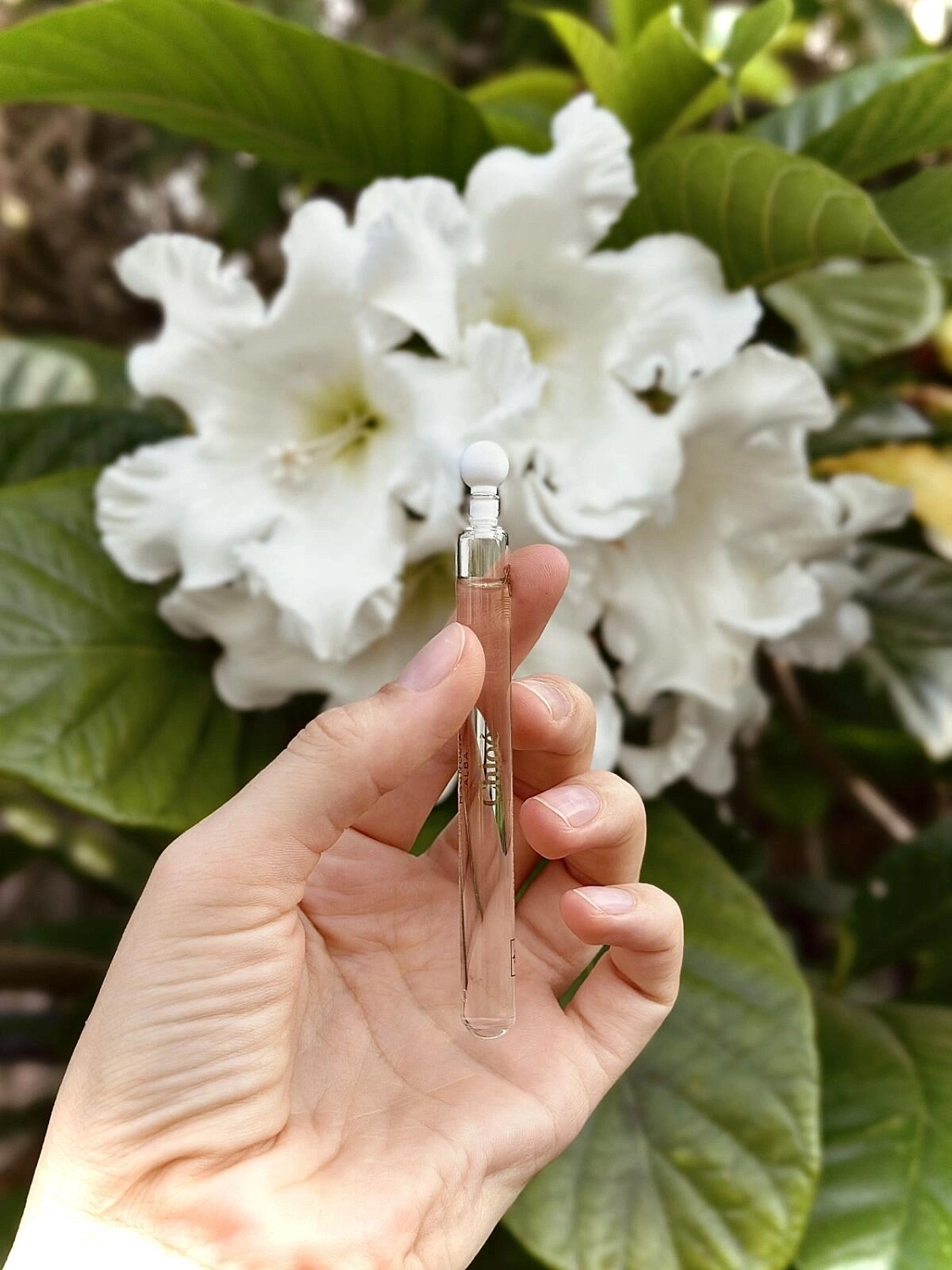 Chloé Atelier Des Fleurs Magnolia Alba