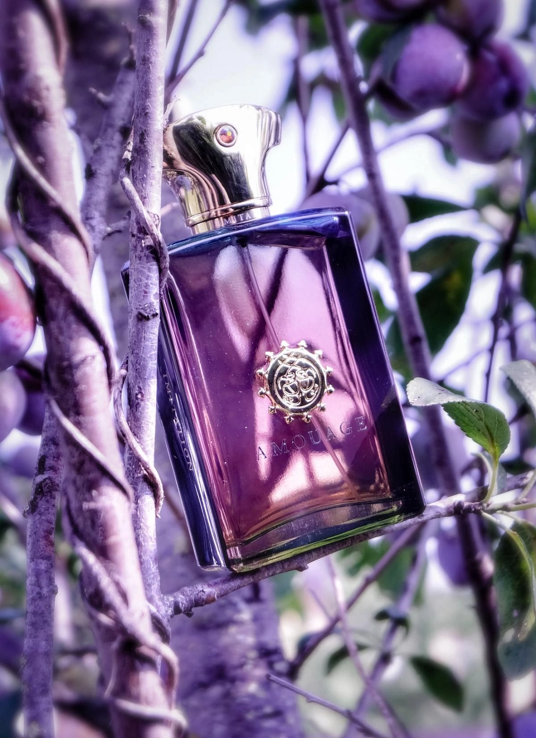 Amouage Imitation For Man