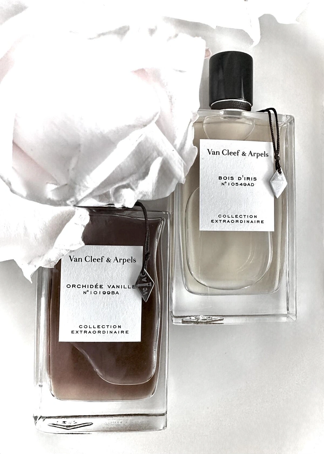 Van Cleef & Arpels Collection Extraordinaire Orchidee Vanille