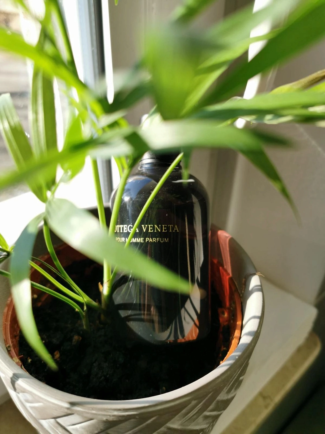 Bottega Veneta Pour Homme Parfum