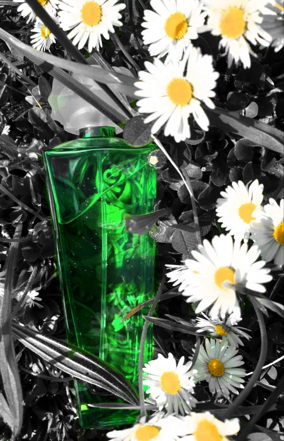 Elizabeth Taylor Gardenia