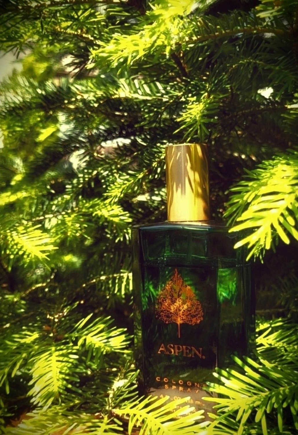 Coty Aspen For Men