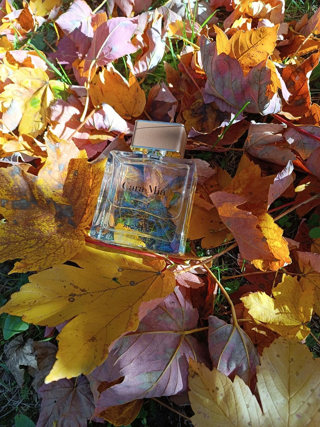 Aigner Cara Mia