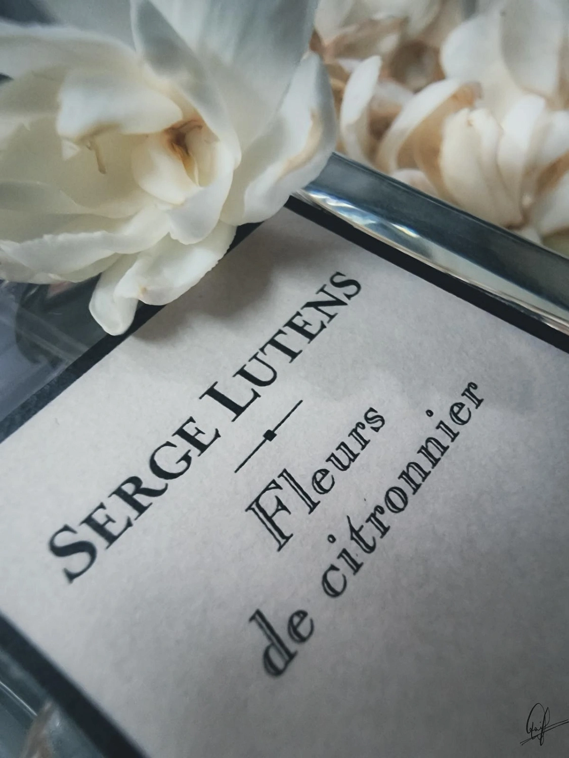 Serge Lutens Fleurs de Citronnier