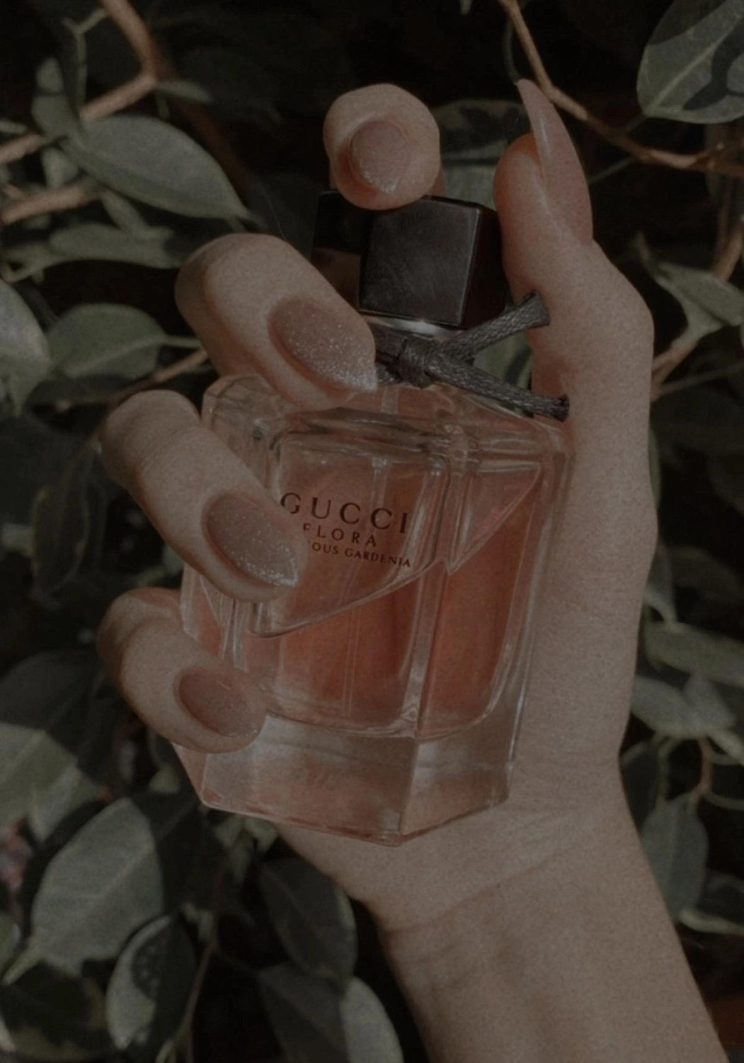 Gucci Flora Gorgeous Gardenia Limited Edition