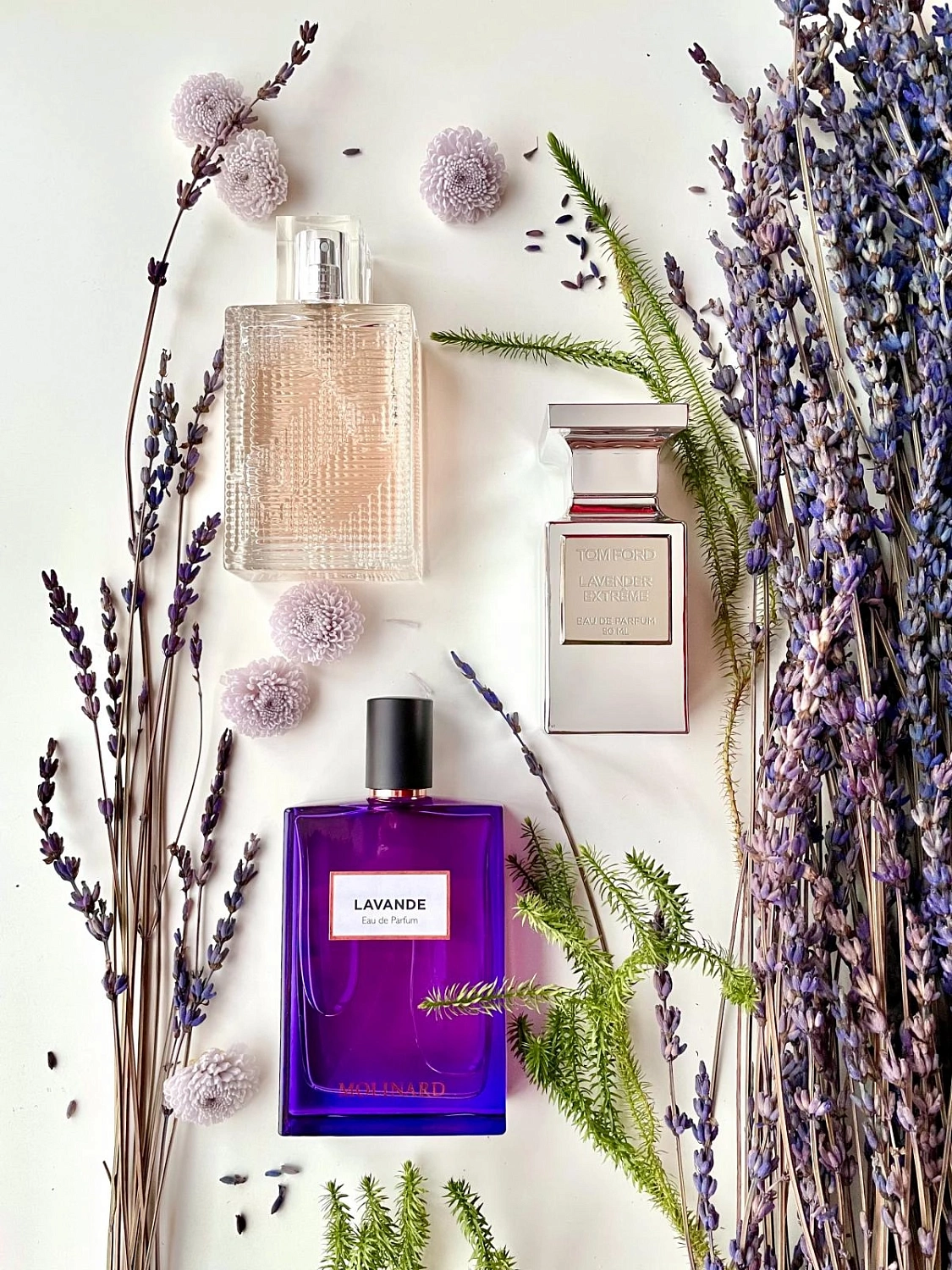 Burberry Brit Rhythm for Her Floral