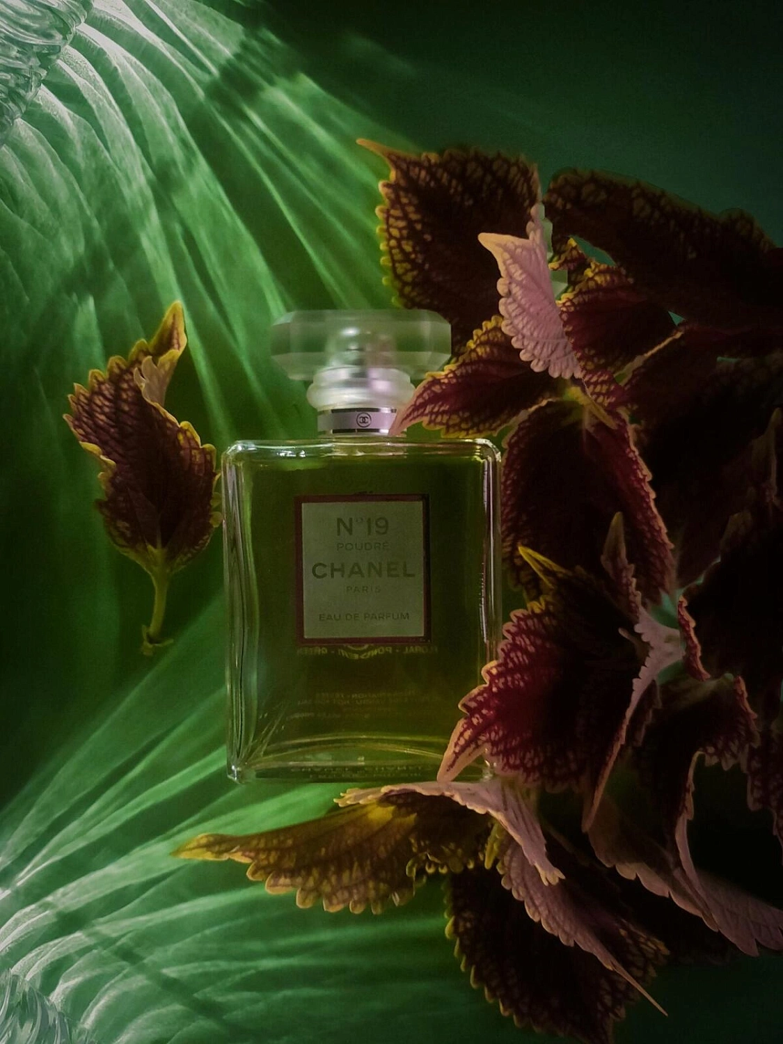 Chanel N°19 Poudre