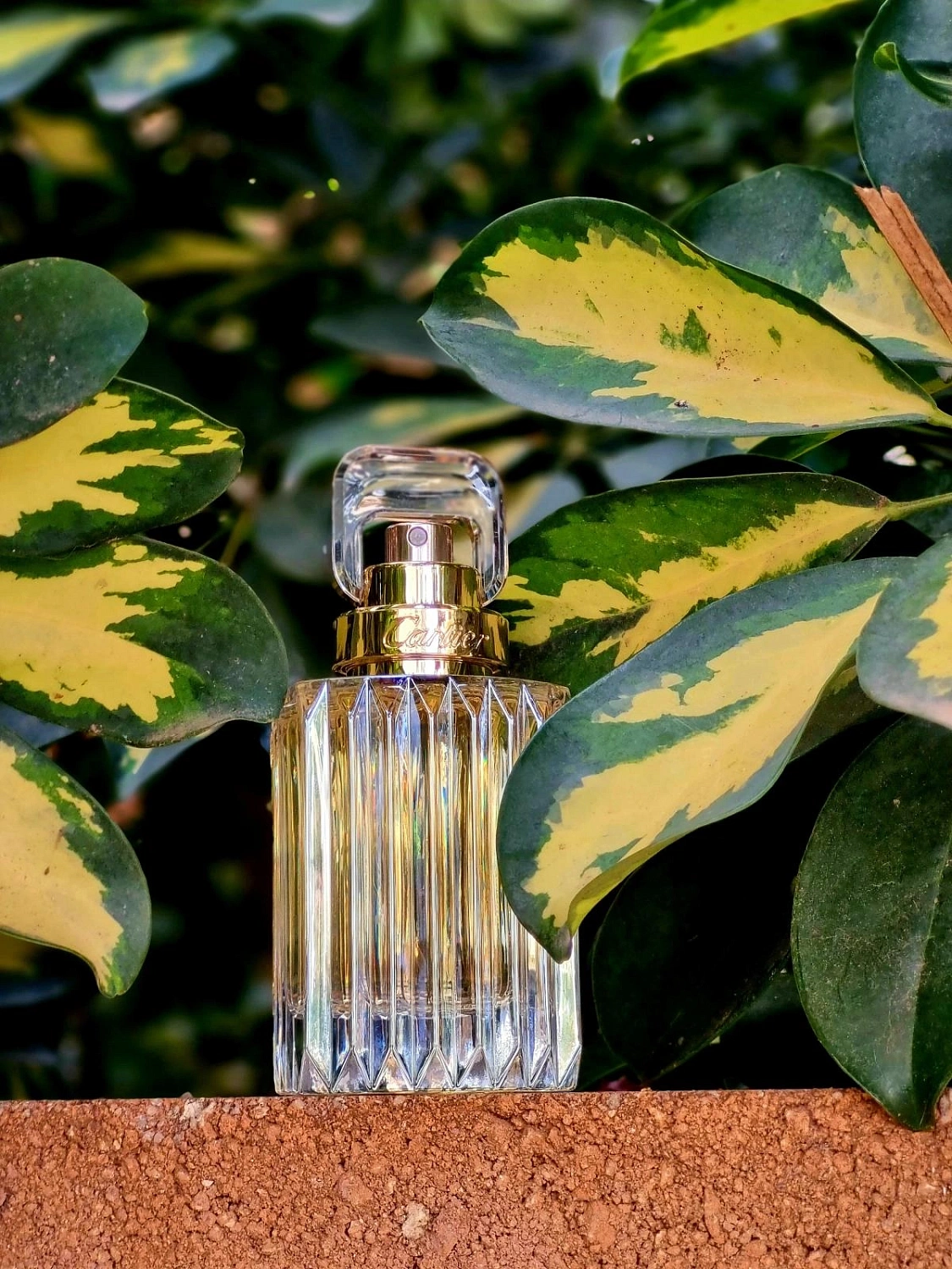 Cartier Carat