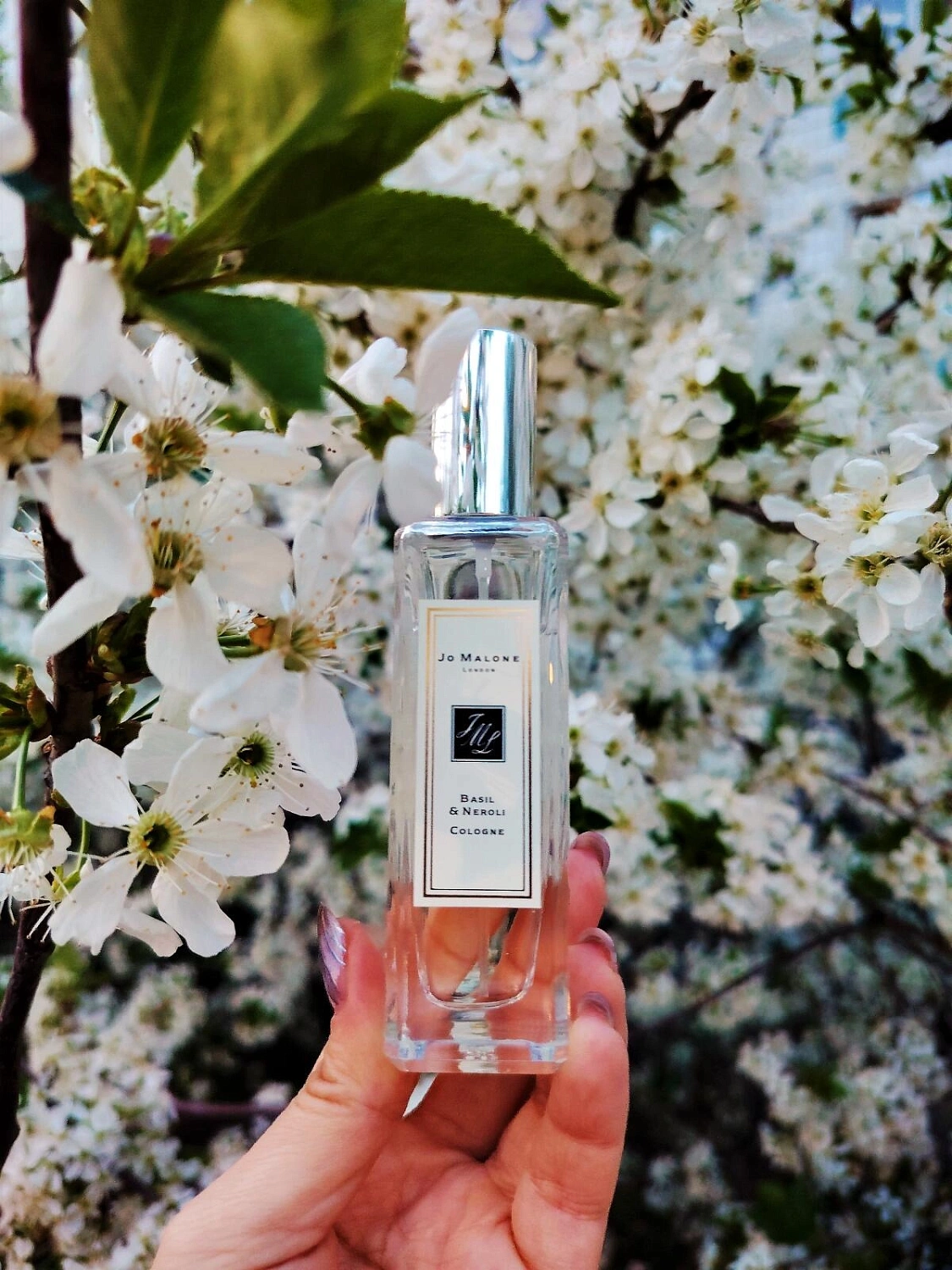 Jo Malone Basil & Neroli