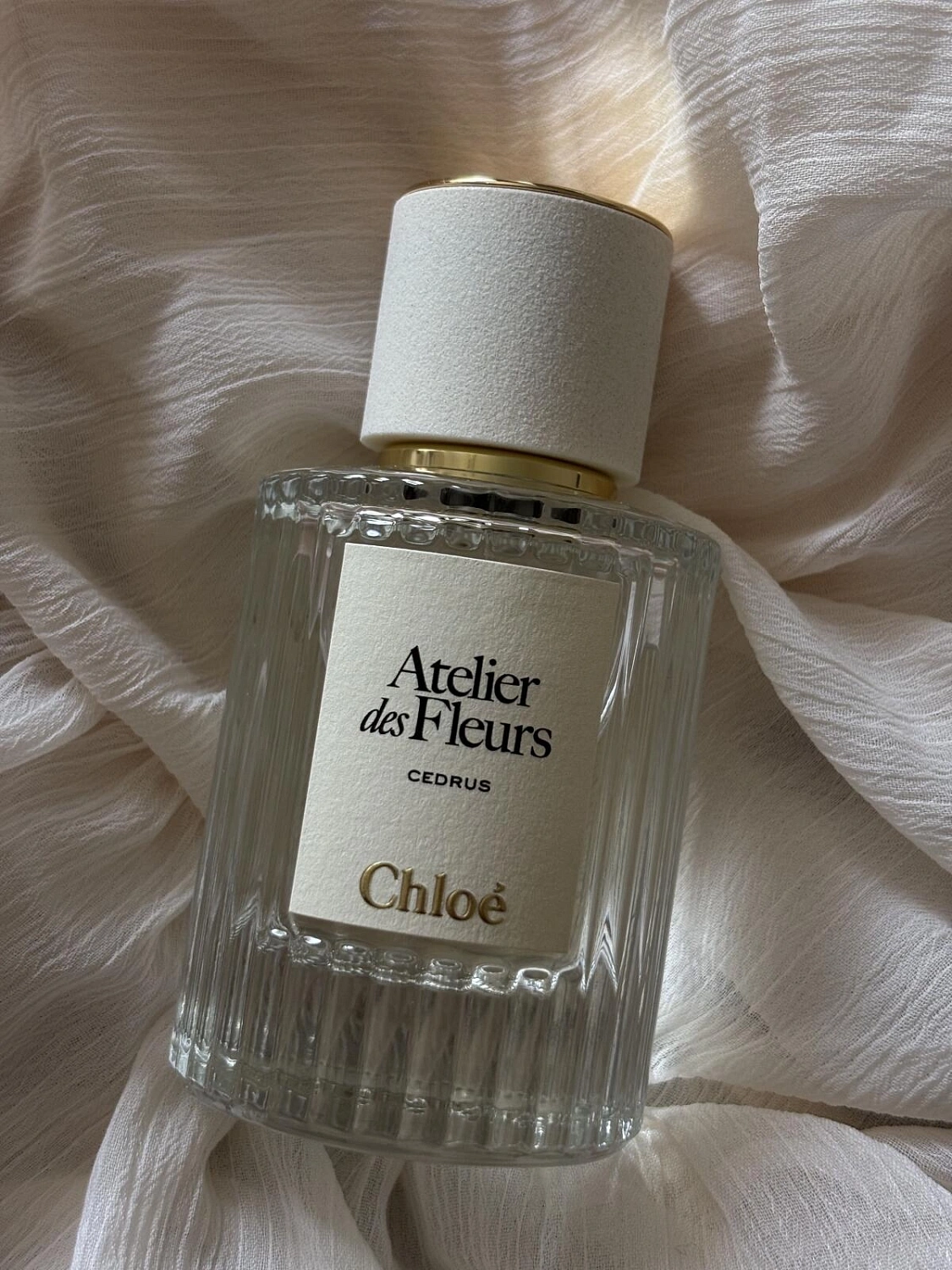 Chloé Atelier Des Fleurs Cedrus