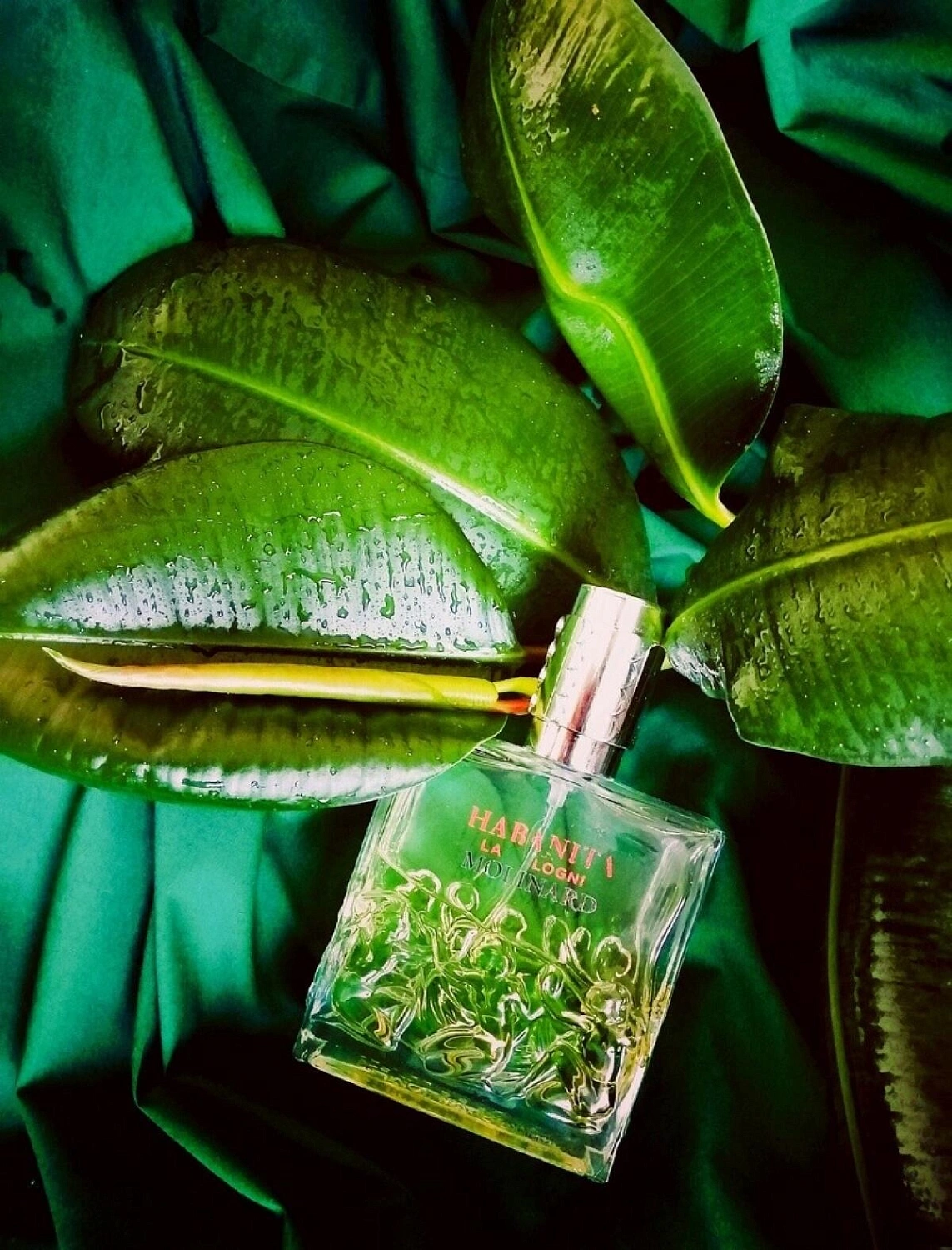 Molinard Habanita La Cologne