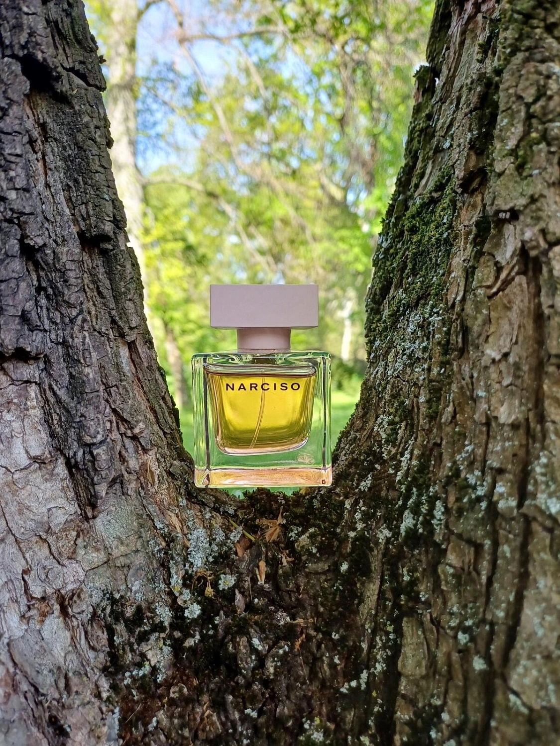 Narciso Rodriguez Narciso Eau de Parfum Cristal