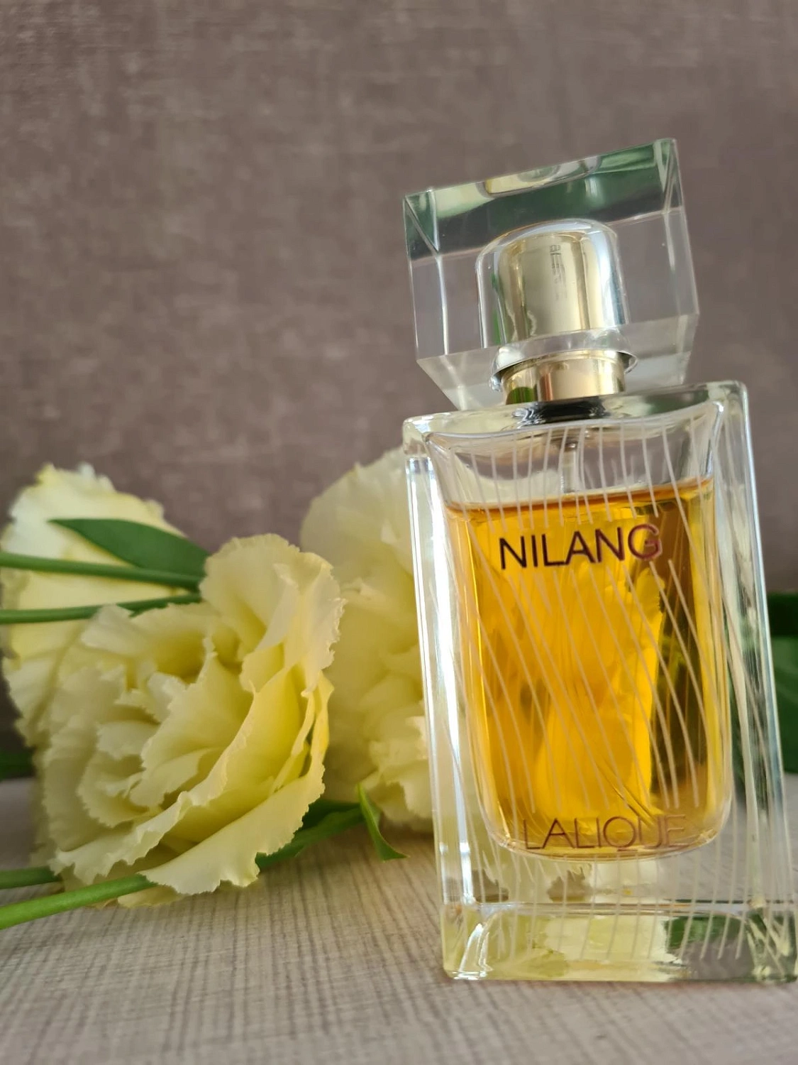 Lalique Nilang 2011