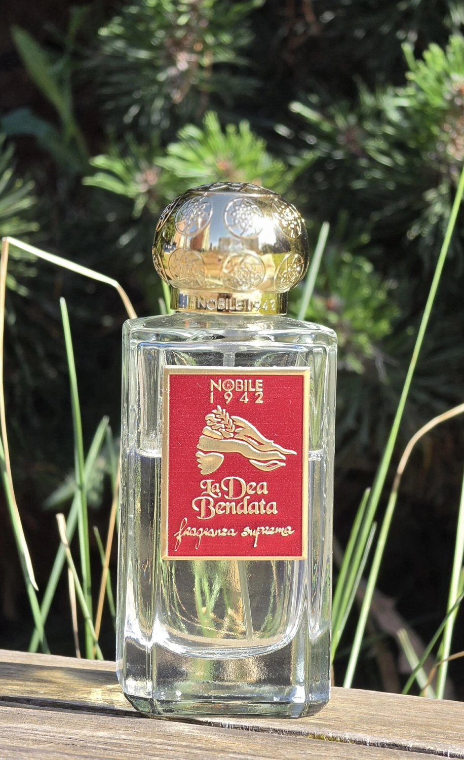 Nobile 1942 La Dea Bendata