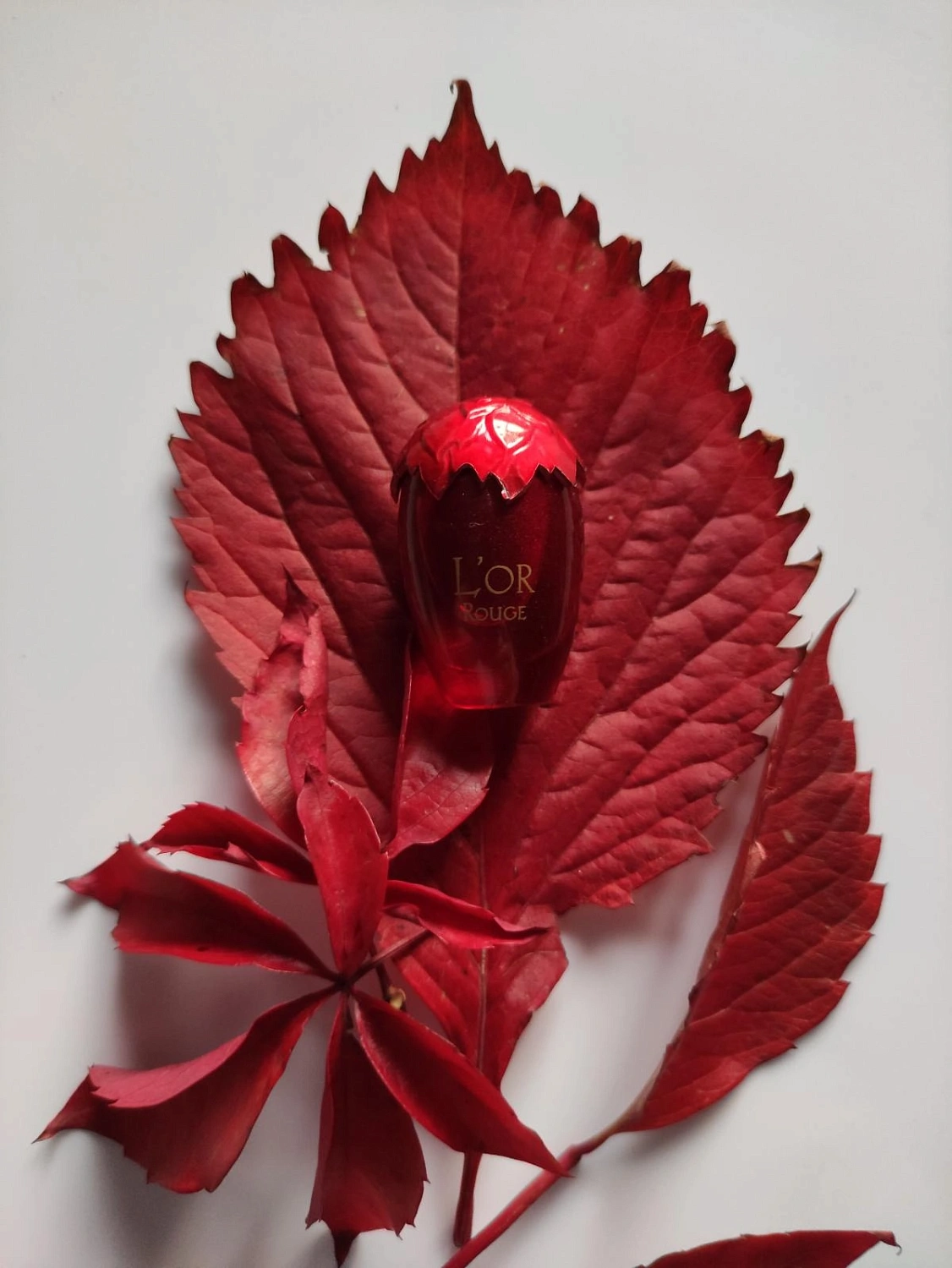Torrente L'Or Rouge