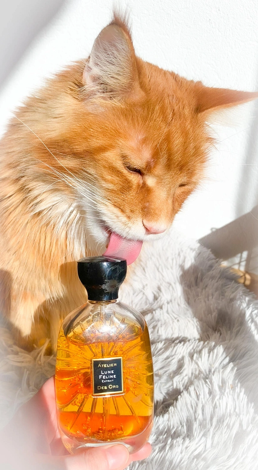 Atelier des Ors Lune Feline Extrait