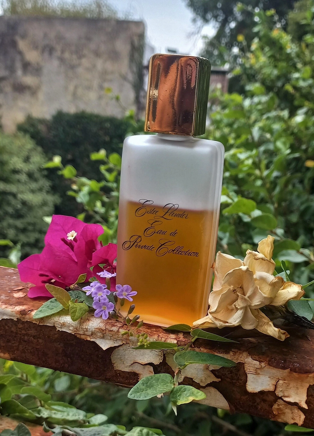 Estée Lauder Private Collection