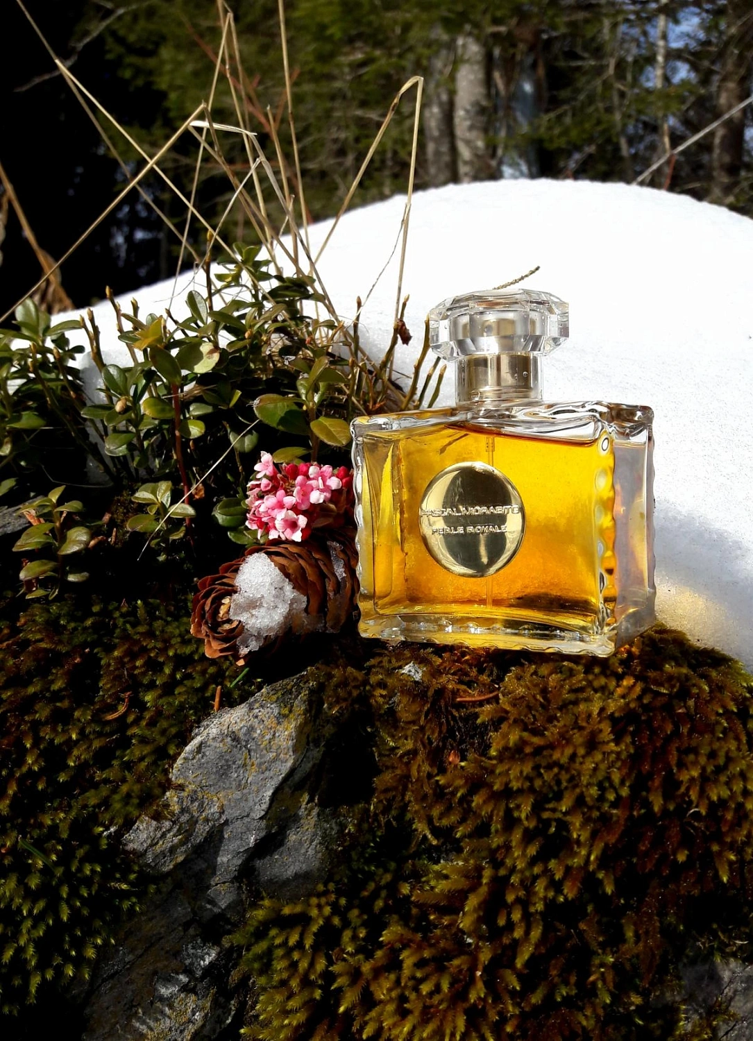 Pascal Morabito Perle Royale