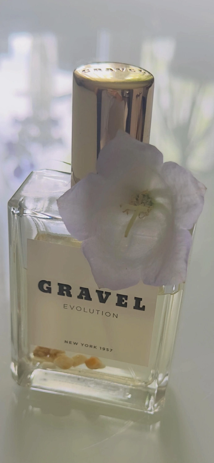 Gravel Evolution