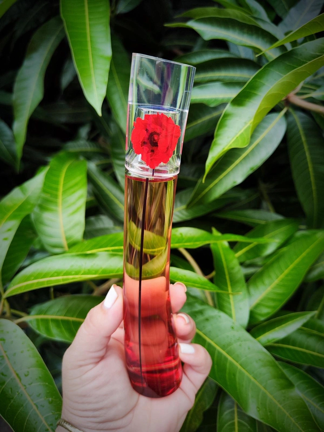 Flower by Kenzo L'Absolue