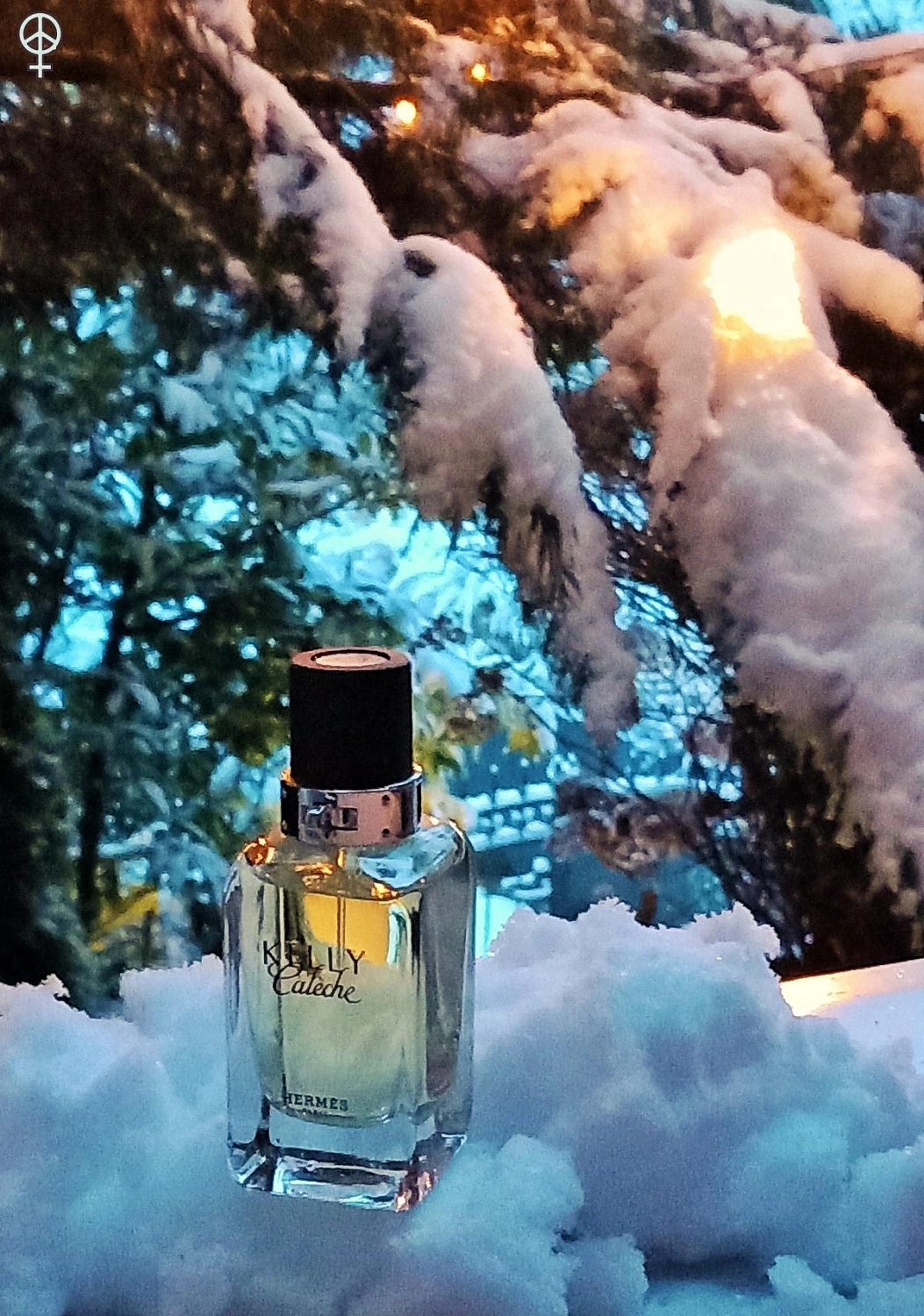 Hermès Kelly Caleche