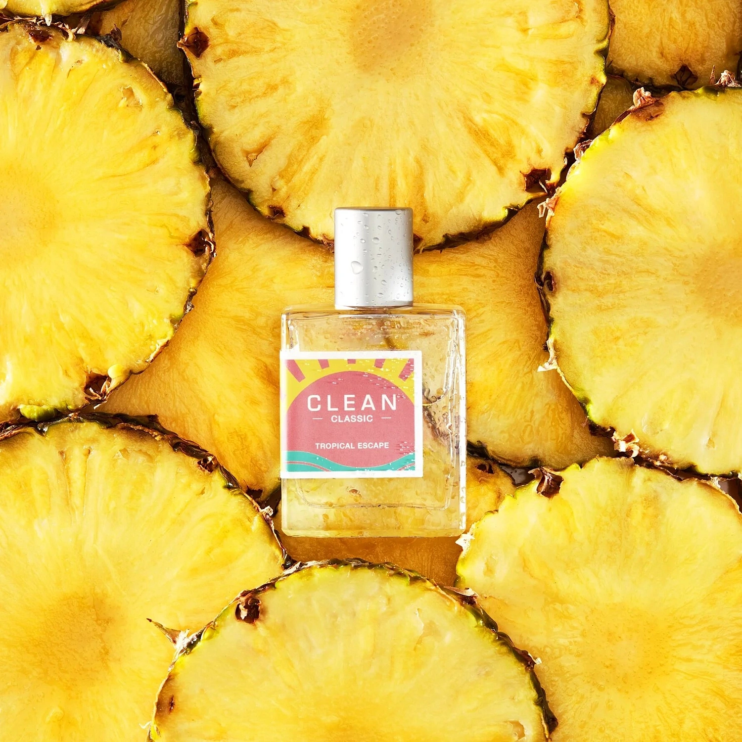 Clean Tropical Escape