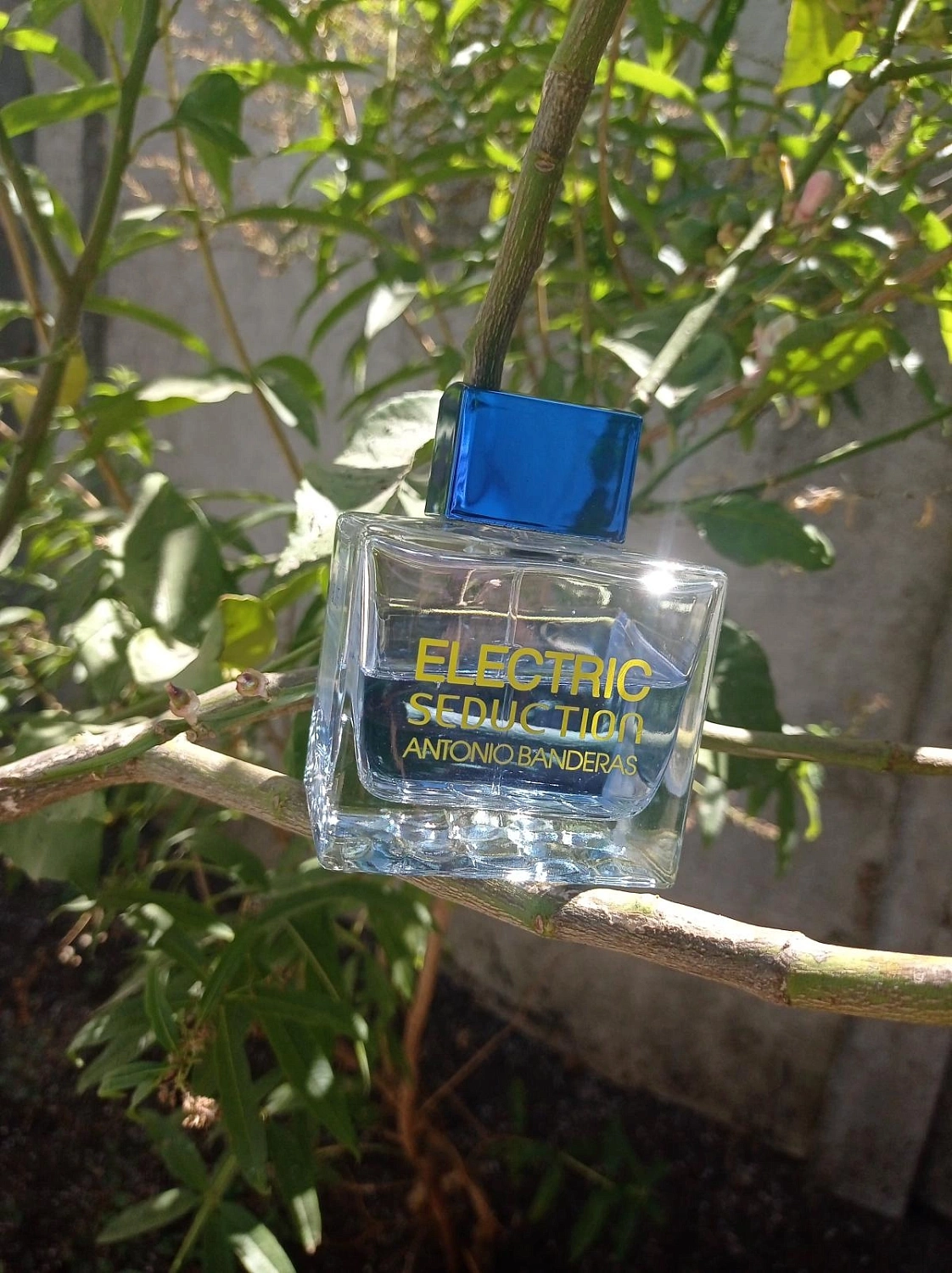 Antonio Banderas Electric Blue Seduction for Men