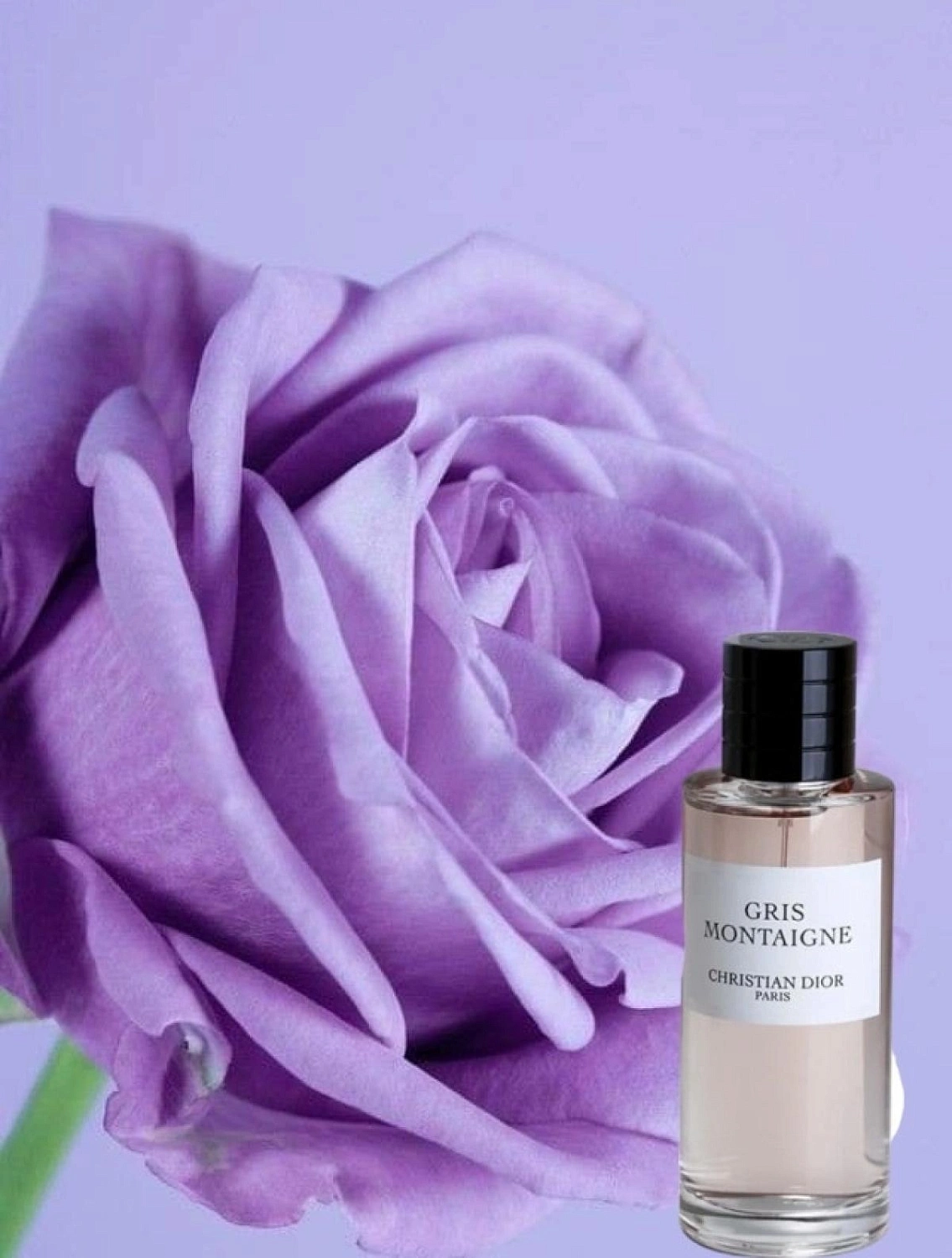Christian Dior Gris Montaigne