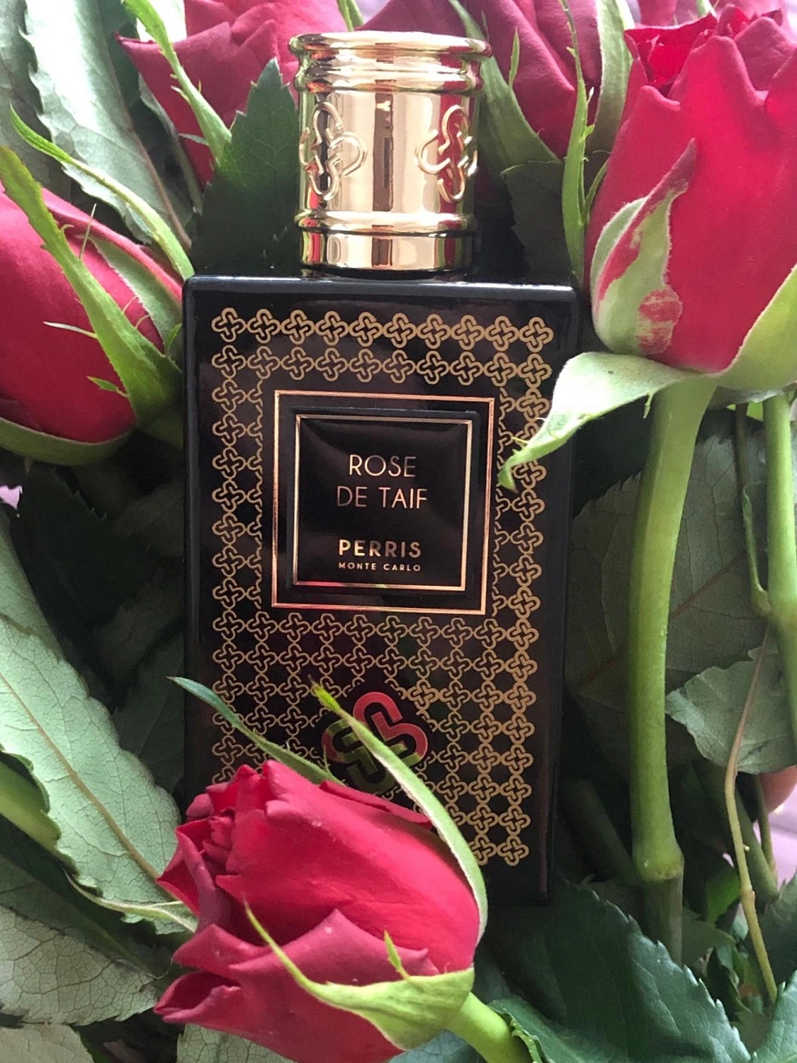 Perris Monte Carlo Rose de Taif
