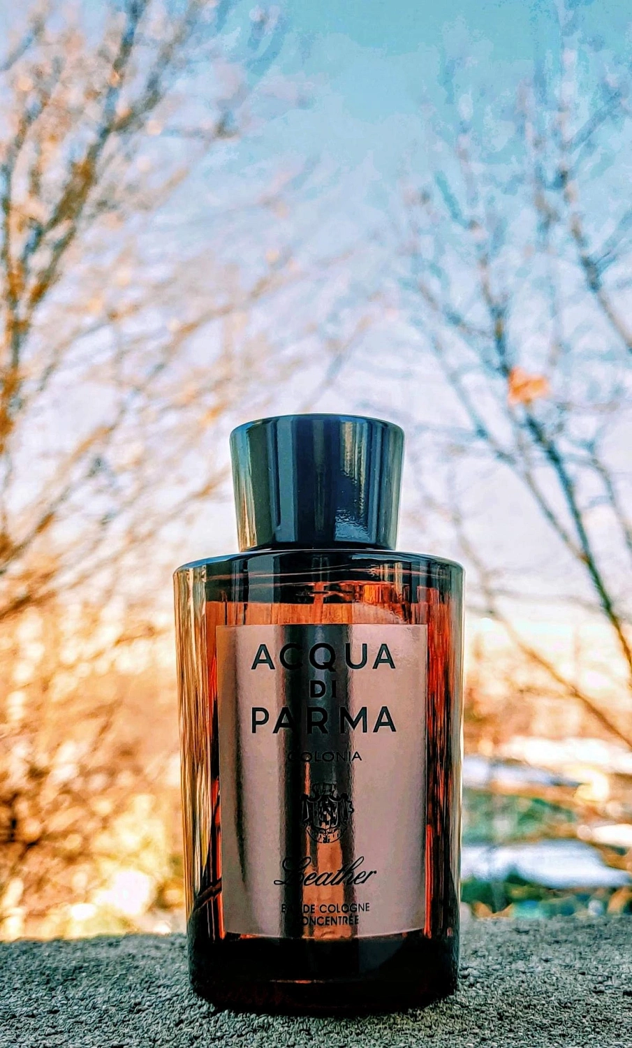 Acqua di Parma Colonia Leather