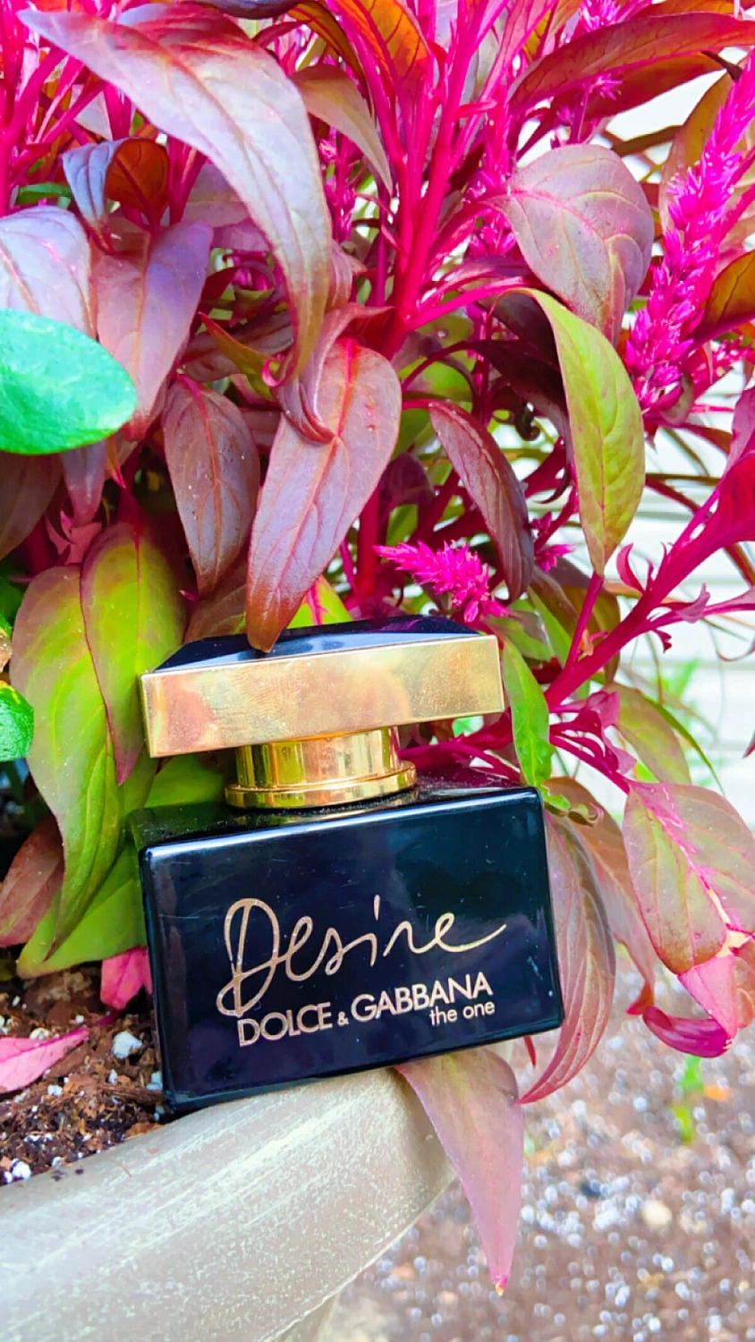 Dolce & Gabbana The One Desire