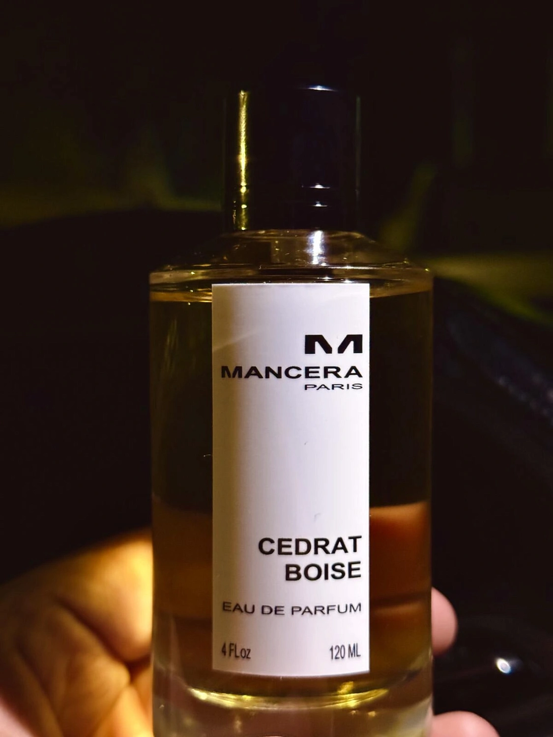 Mancera Cedrat Boise
