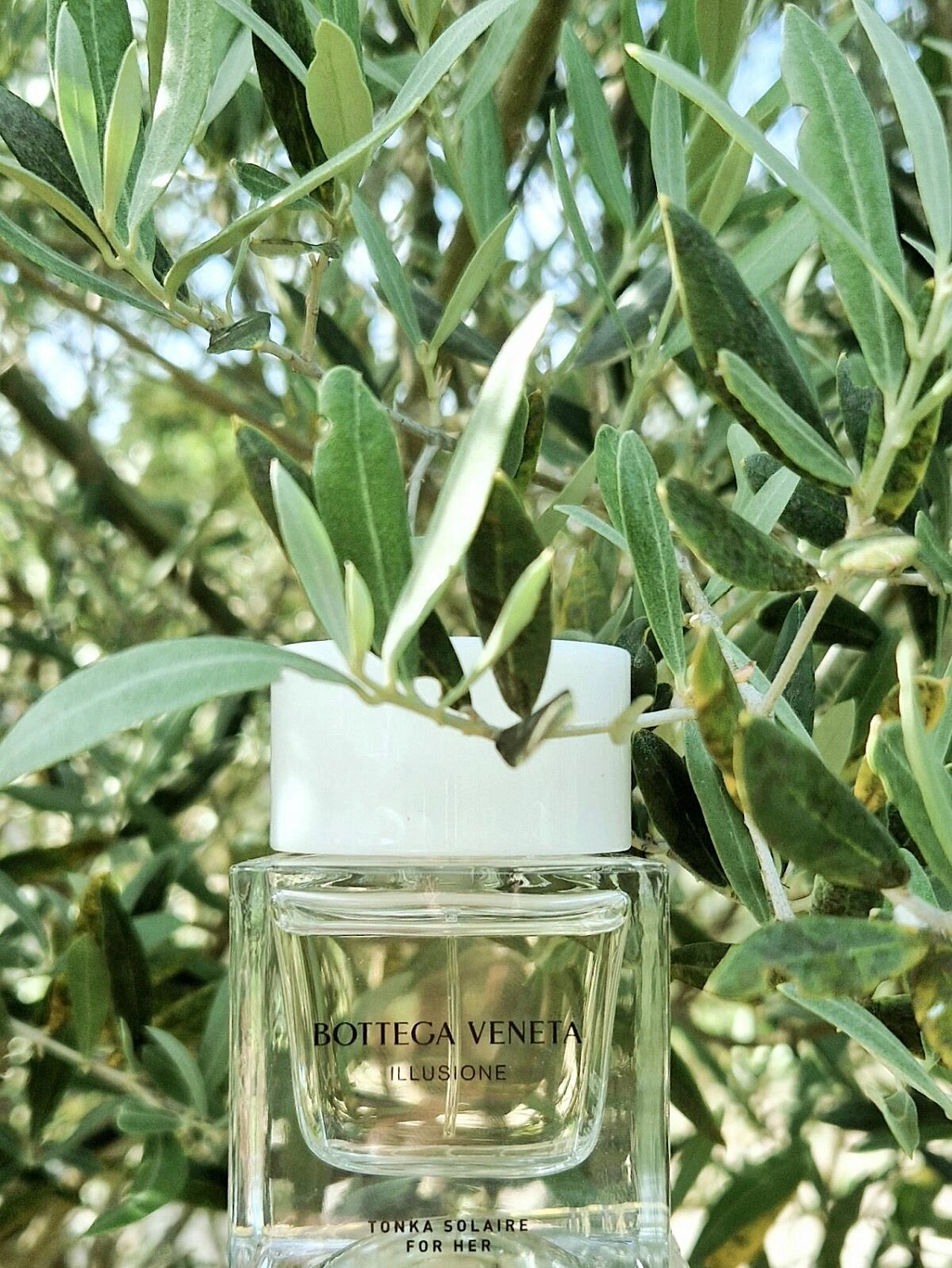 Bottega Veneta Illusione Tonka Solaire