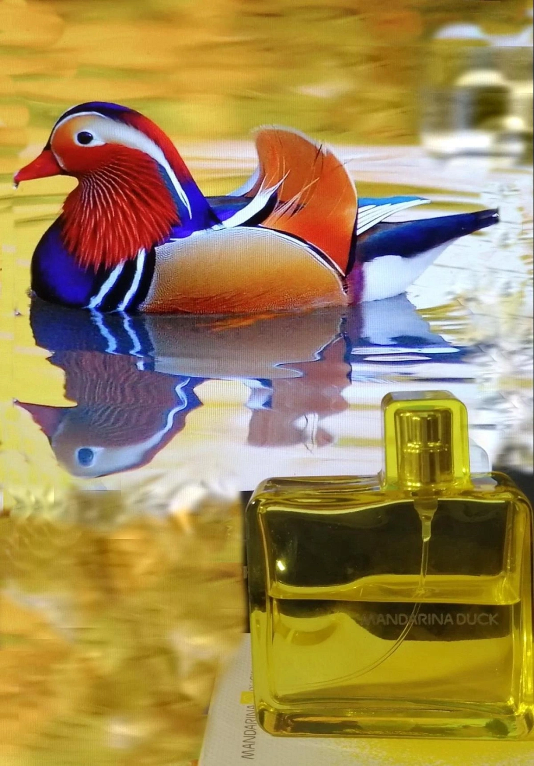 Mandarina Duck