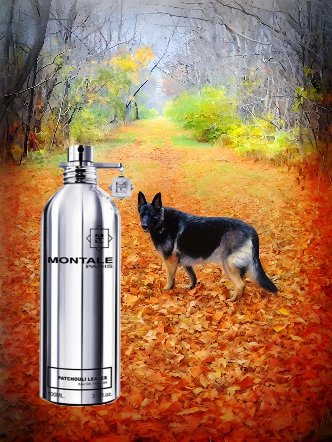 Montale Patchouli Leaves