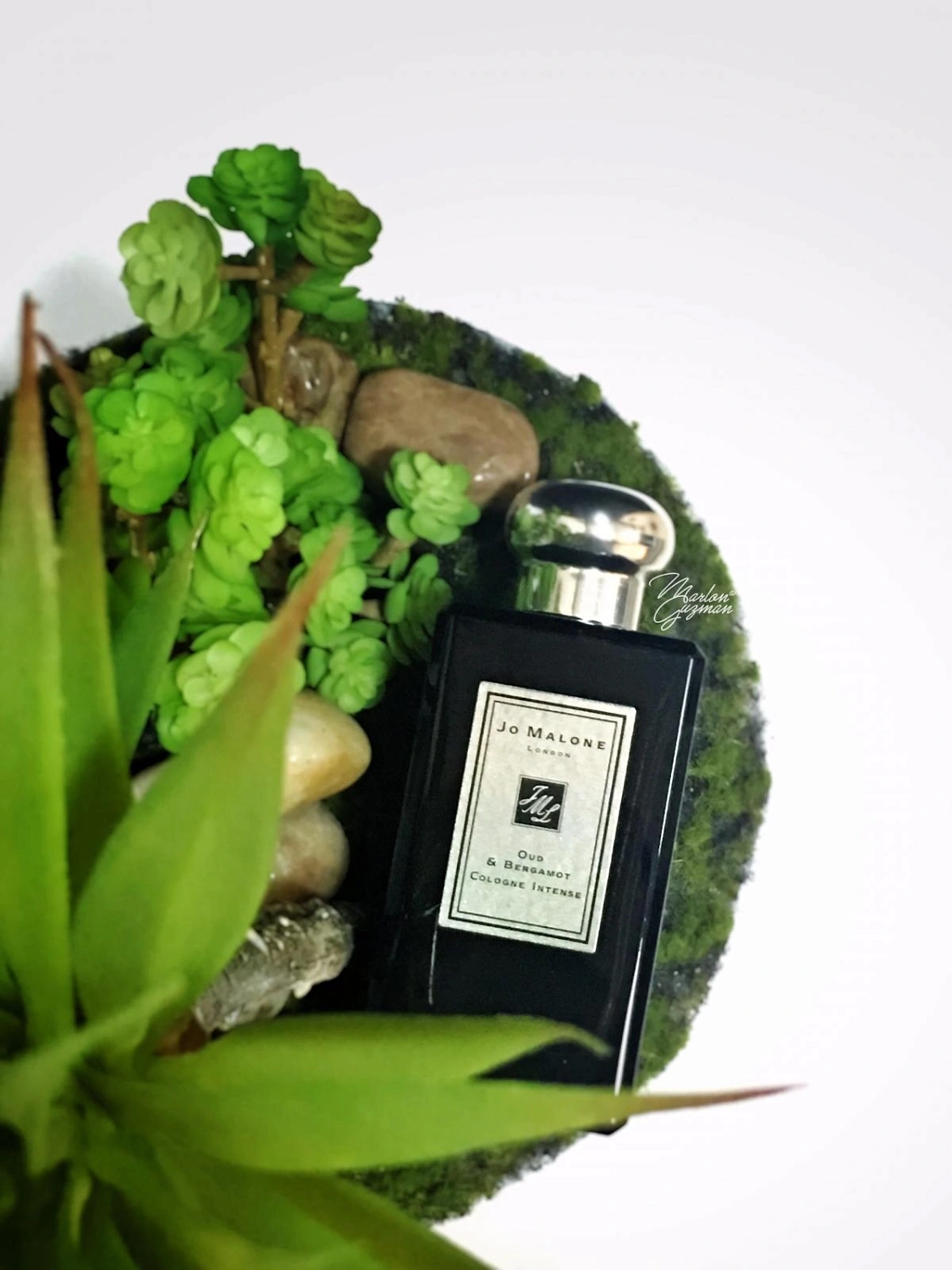 Jo Malone Oud & Bergamote