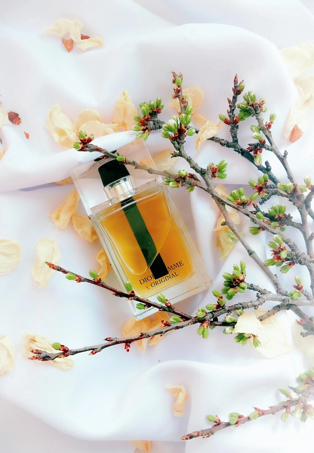 Christian Dior Homme Original