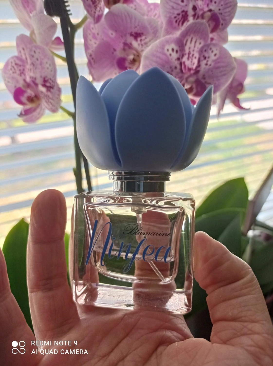 Blumarine Ninfea