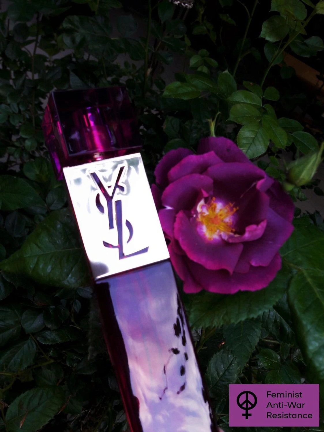 Yves Saint Laurent Elle