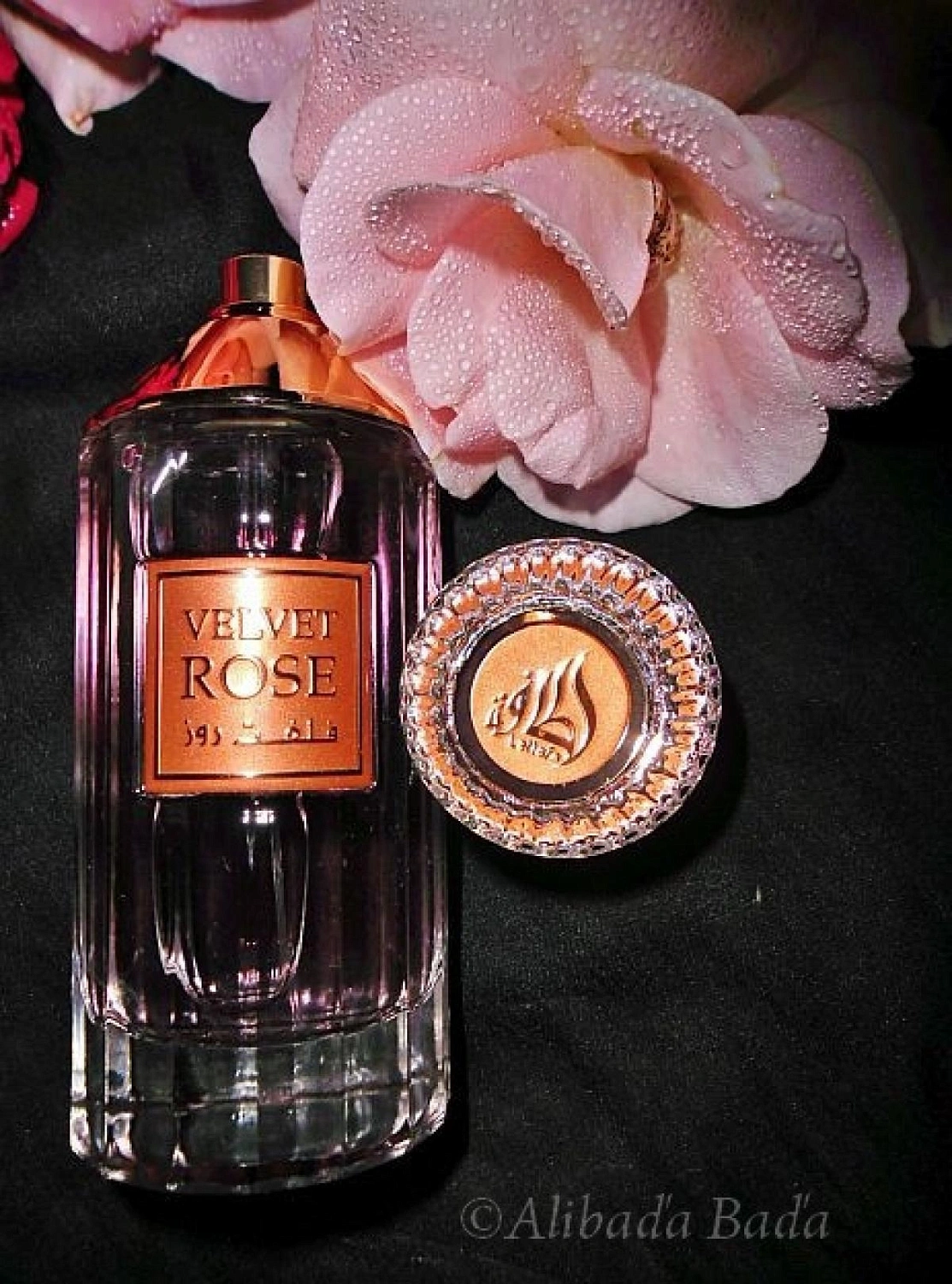 Lattafa Velvet Rose