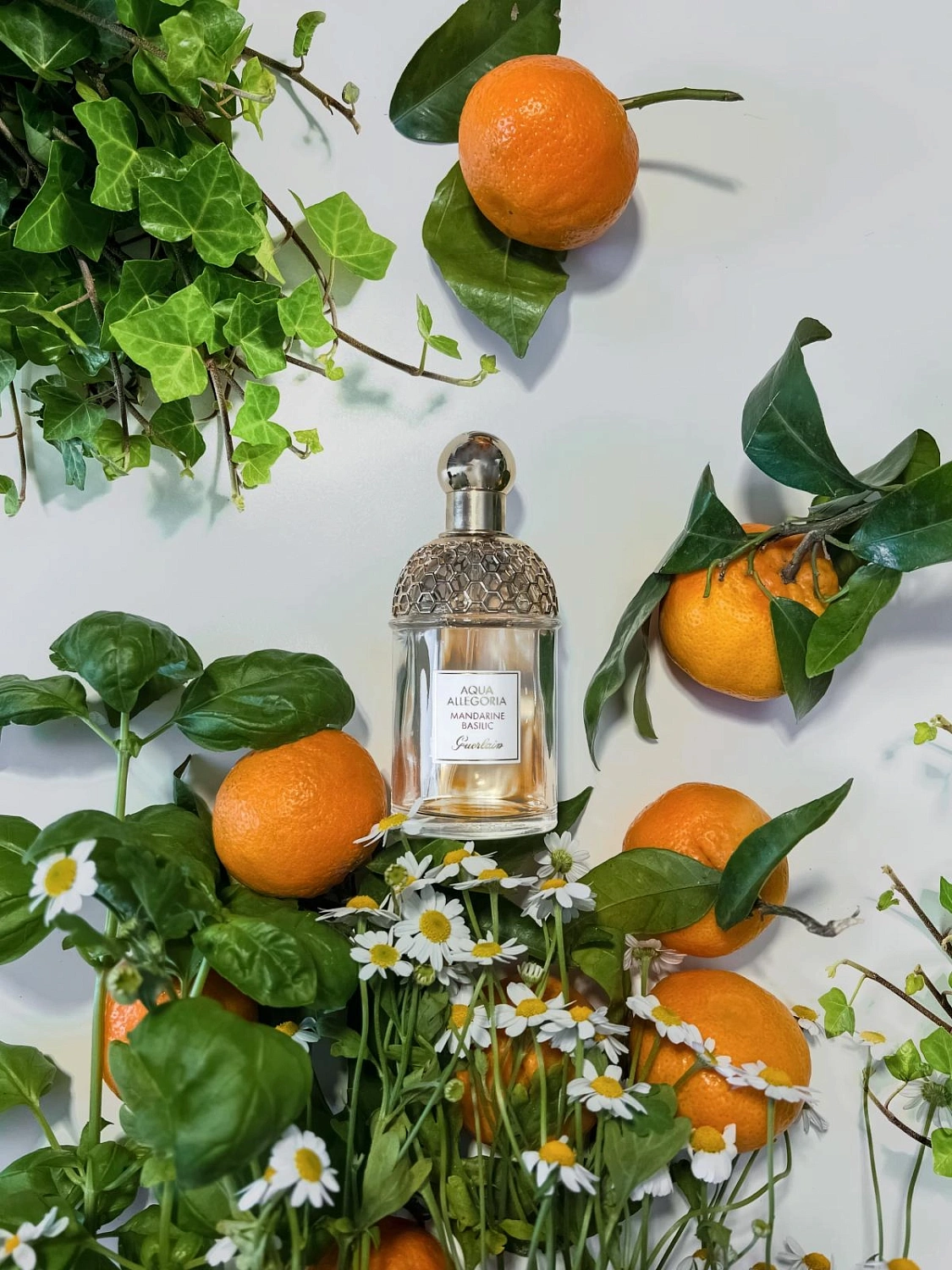 Guerlain Aqua Allegoria Mandarine Basilic