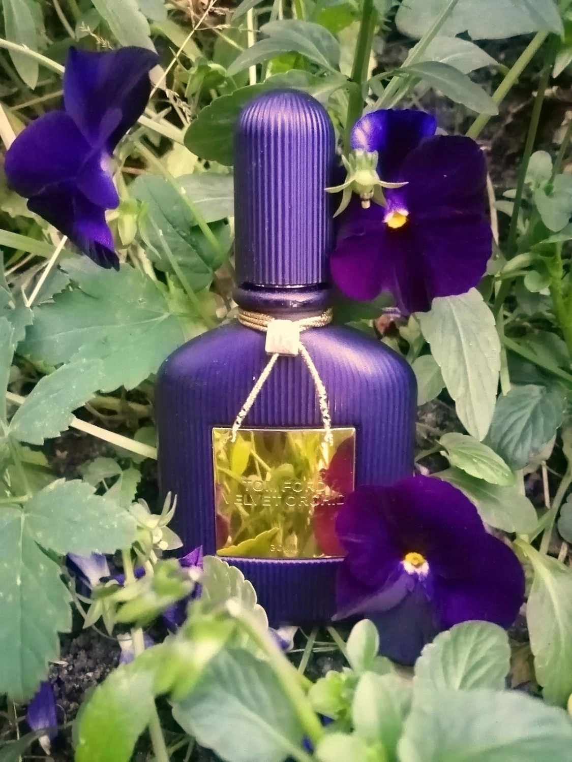 Tom Ford Velvet Orchid Lumiere