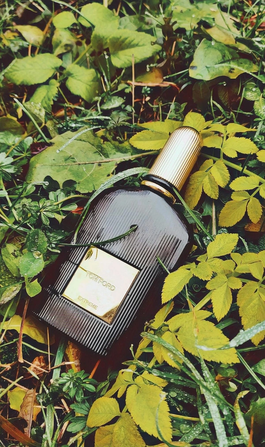 Tom Ford for Men Extreme