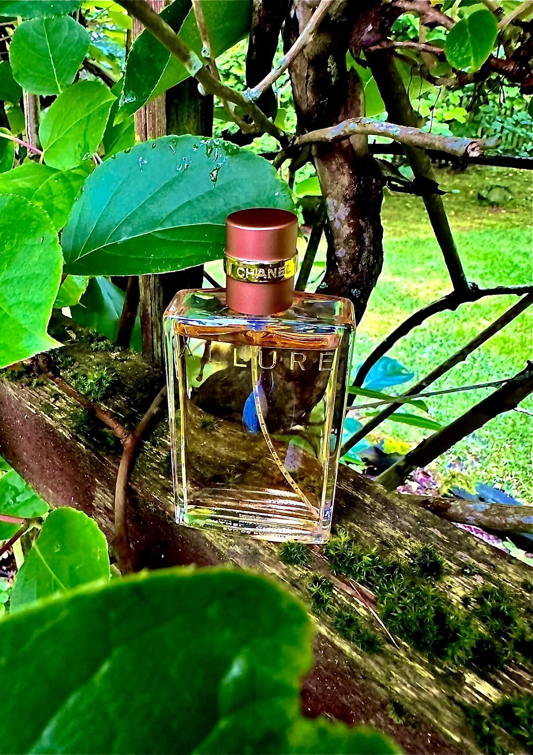 Chanel Allure Eau de Parfum