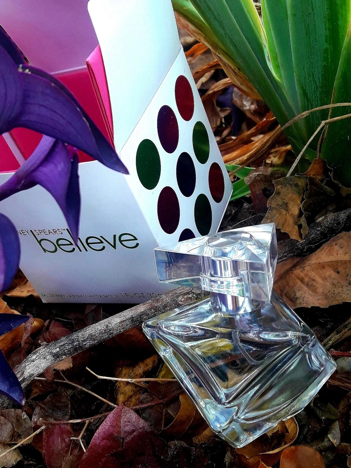 Britney Spears Believe