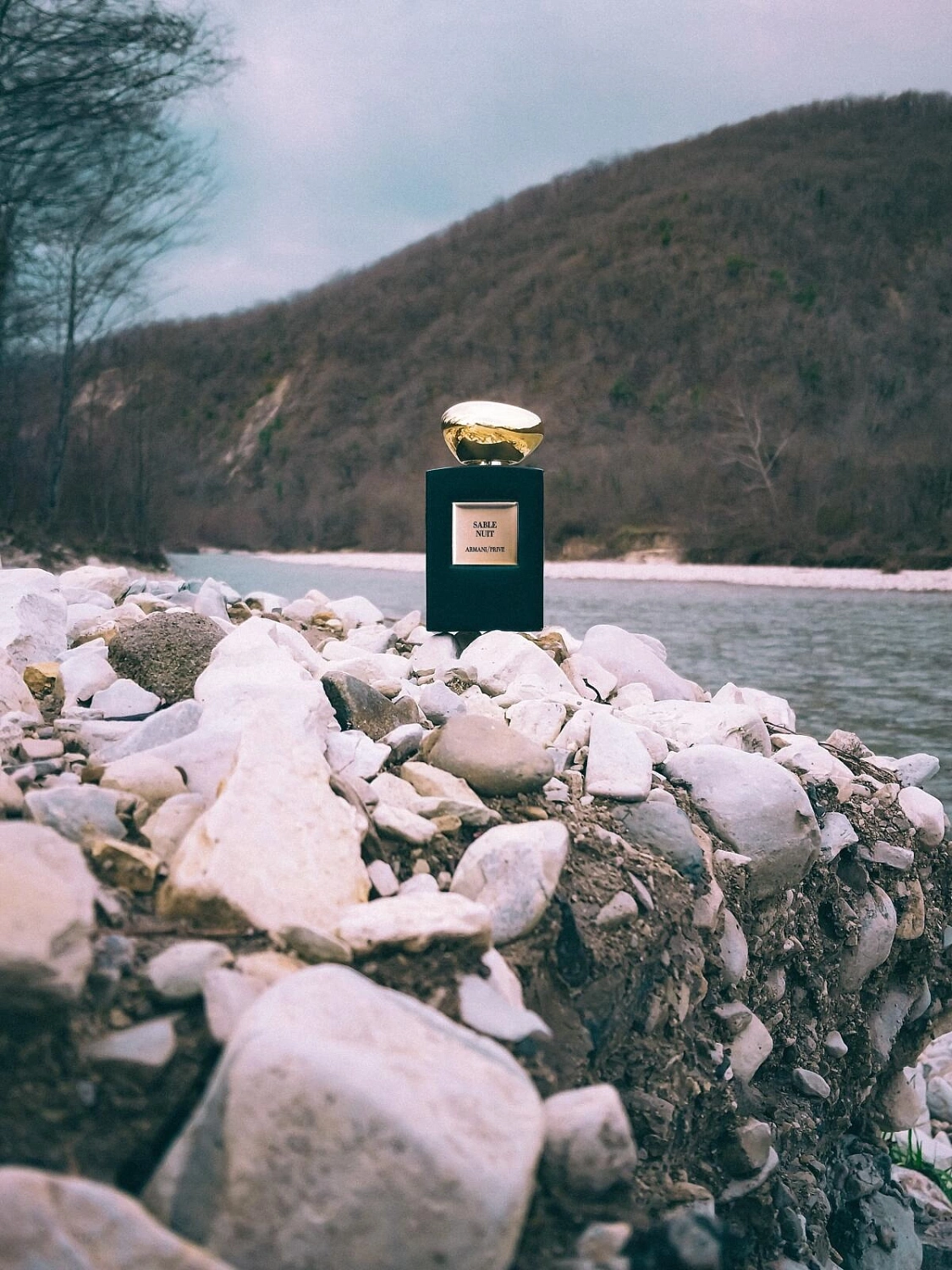 Armani Sable Nuit