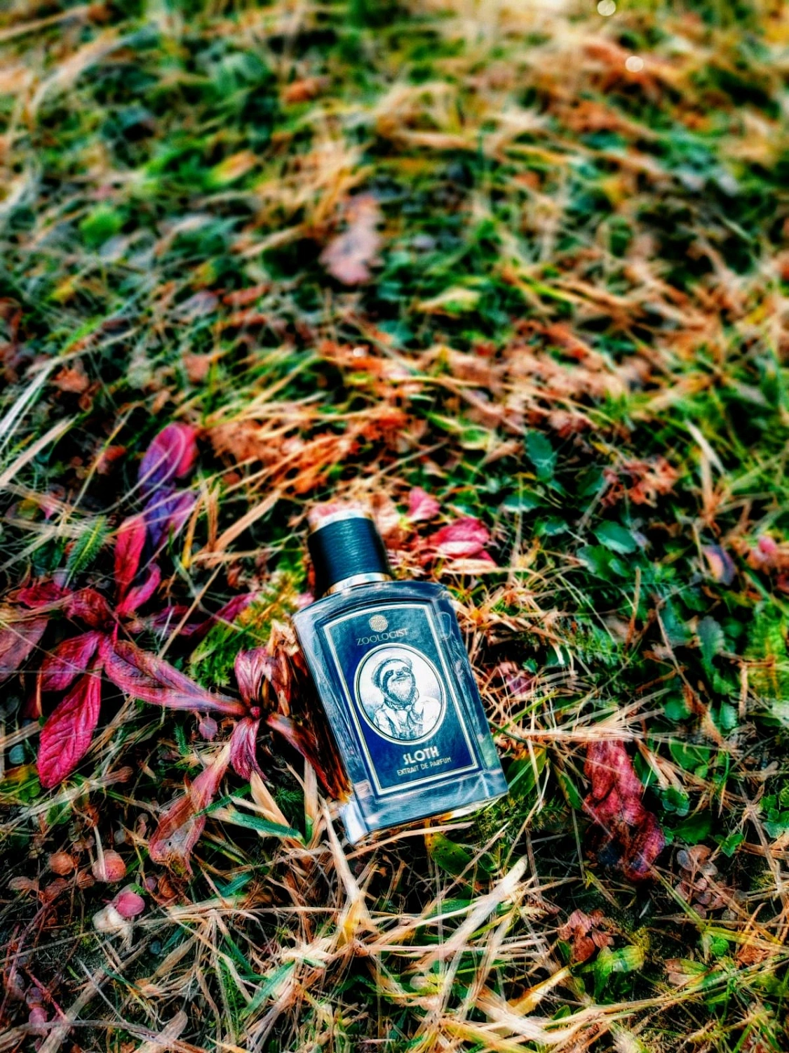 Zoologist Perfumes Sloth