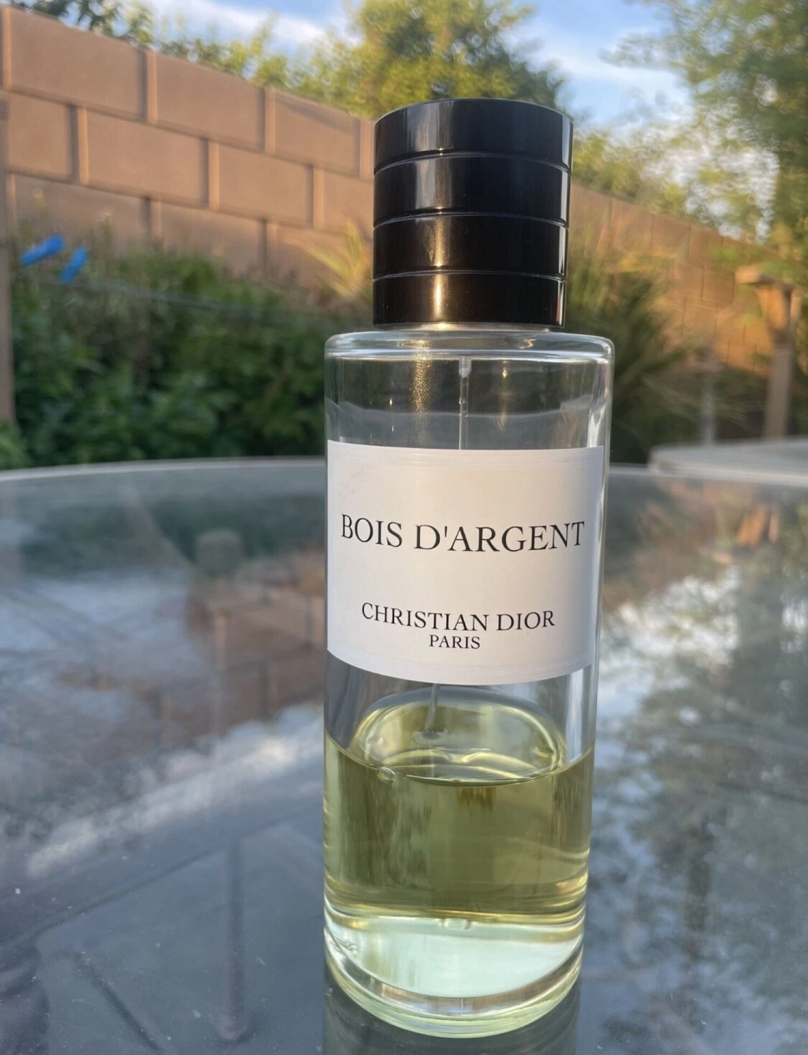 Christian Dior Bois D'Argent